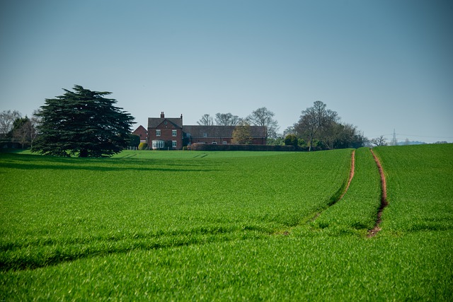 Drug and Alcohol Rehab Codsall